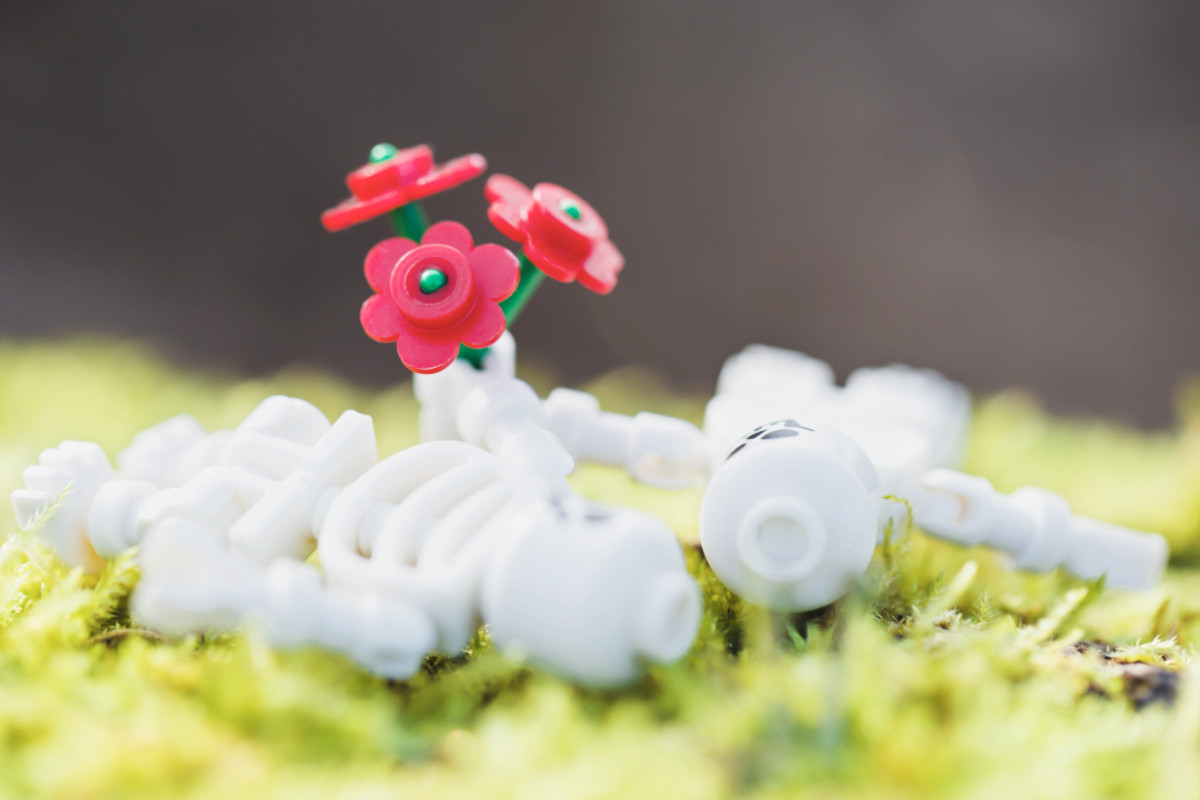 two lego skeletons lie on the grass holding a bouquet or red flowers between them