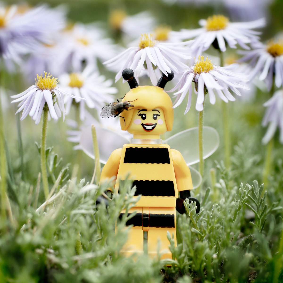 A LEGO bee stands in a field of flowers smiling while a fly has landed on her head.