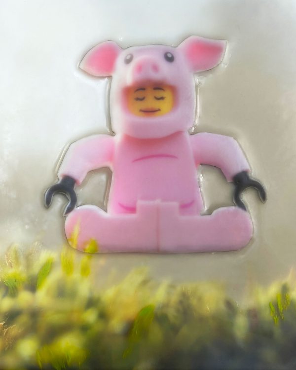 Your moment of Zen. - Image 2