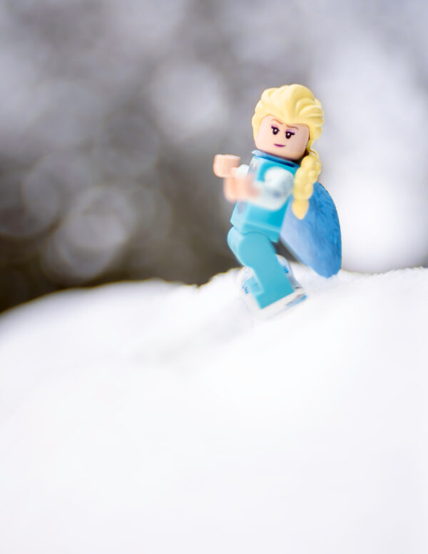 The Cold Never Bothered Me Anyway!