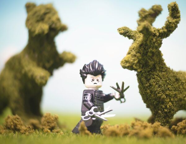 The Goth Gardener