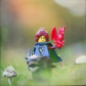 The dragon whisperer