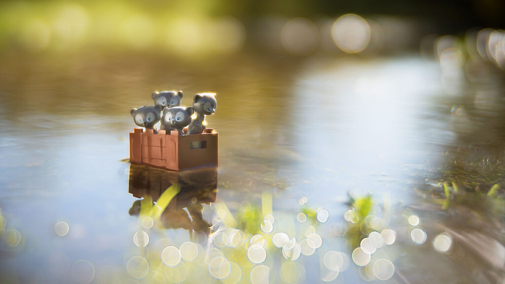 Four grey bear figurines are standing in a small brown crate floating on shallow, reflective water with green foliage and bokeh lights in the background.