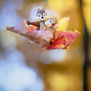 Ride the Wild Wind