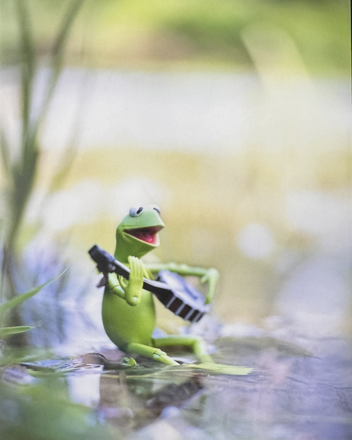 It’s Not Easy Being Green
