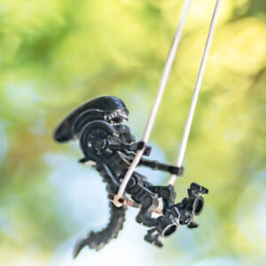 Mood swing