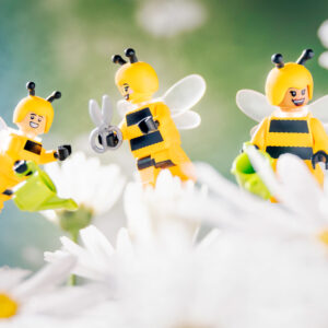 Busy as bees