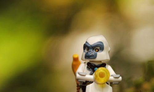 Watermarked-Photo-1-682x1024