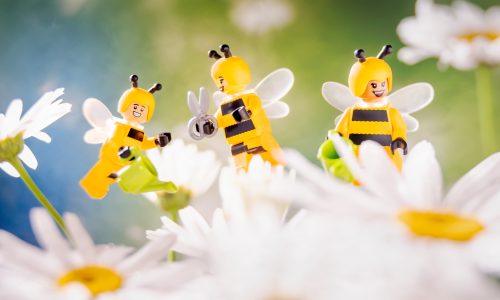 busy-as-a-bee